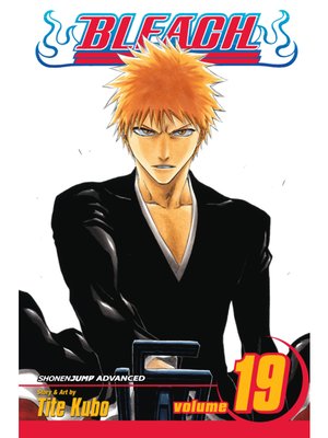 cover image of Bleach, Volume 19